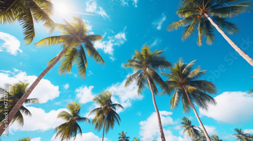 Tall Coconut palm trees are under blue cloudy sky