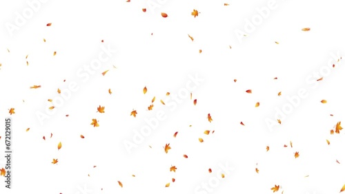 Autumn Leaves. Autumn Leaf Particles. With Alpha Matte Channel photo