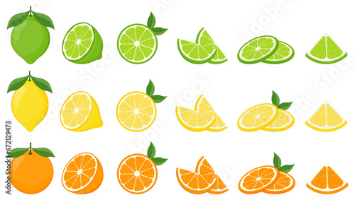 Fototapeta Naklejka Na Ścianę i Meble -  Big vector set of citrus fruits.Orange,lemon and lime icons on white background.Vector illustration