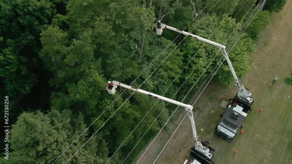 Safety tree trimming by work crew from company to keep tree limbs from encroaching on the electrical power lines. Aerial wide shot