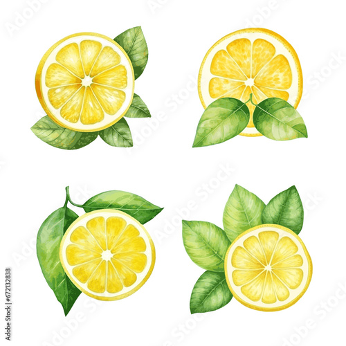 Watercolor lemon slice fruit with leaves for food vitamin design on white background