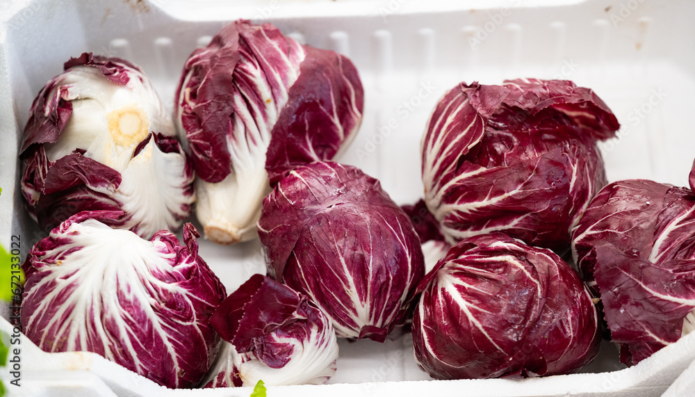 Fototapeta premium background of vegetables cabbage