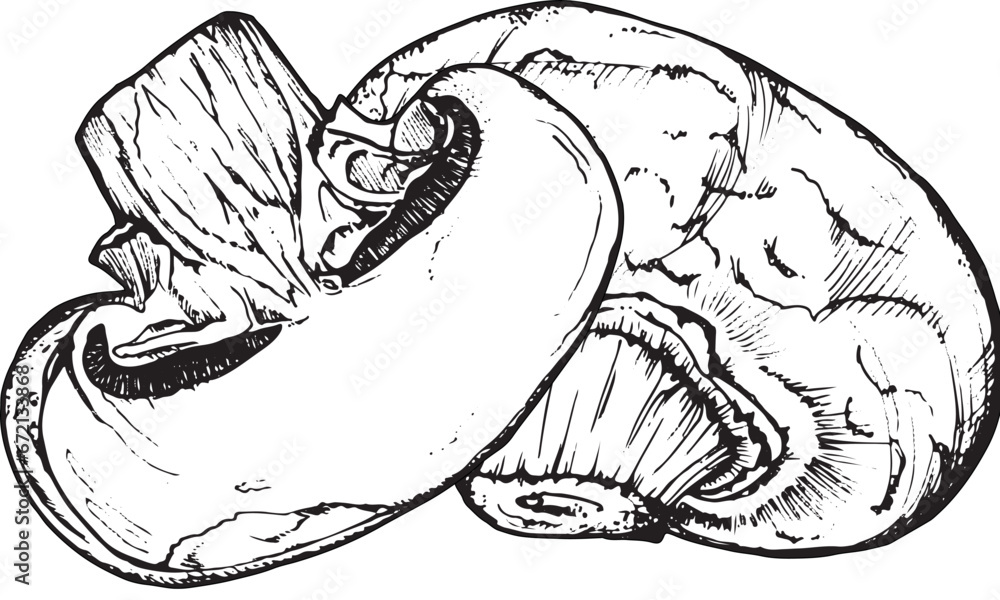Mushroom composition of champignons, hand-drawn black and white graphics, translated into vector. Illustration isolated for printing on fabric, packaging, prints, stickers, posters, cards Mushroom composition of champignons, hand-drawn black and white graphics, translated into vector. Illustration isolated for printing on fabric, packaging, prints, stickers, posters, cards