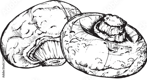 Mushroom composition of champignons, hand-drawn black and white graphics, translated into vector. Illustration isolated for printing on fabric, packaging, prints, stickers, posters, cards