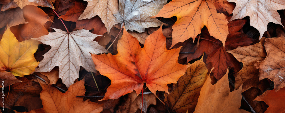 Beautiful frozen autumn maple leaves on the ground. Autumn winter background Beautiful frozen autumn maple leaves on the ground. Autumn winter background