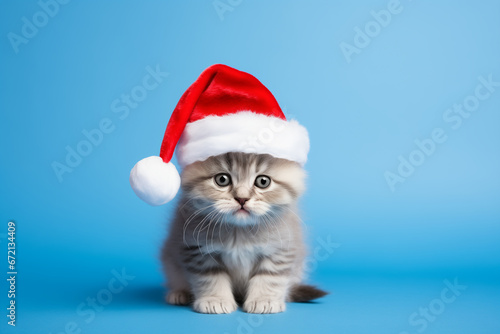 Cute little cat wearing a Christmas hat blue background © Teerasak