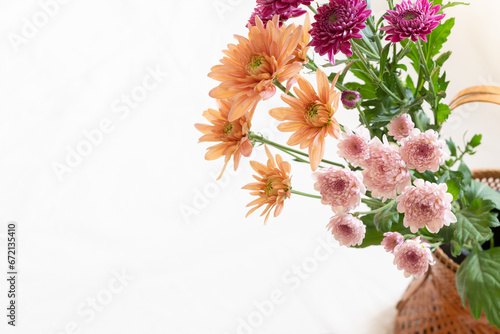 花,菊,いいマムの日,11月6日,高潔 photo