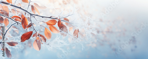 Beautiful branch with orange and yellow leaves in the forest covered with first snow. Autumn winter background