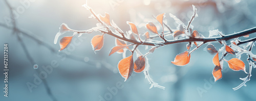Beautiful branch with orange and yellow leaves in the forest covered with first snow. Autumn winter background