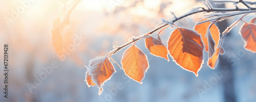 Beautiful branch with orange and yellow leaves in the forest covered with first snow. Autumn winter background