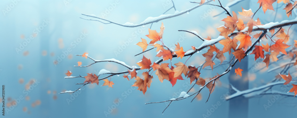 Beautiful frozen branch with orange and yellow maple leaves in the forest. Autumn winter background