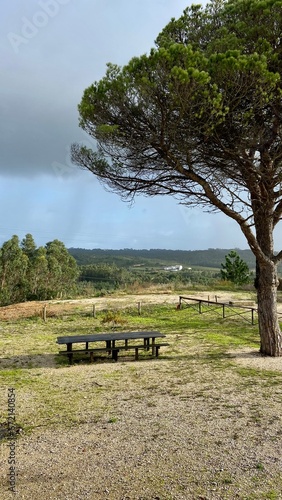 Panorama of a beautiful city park. Portugal