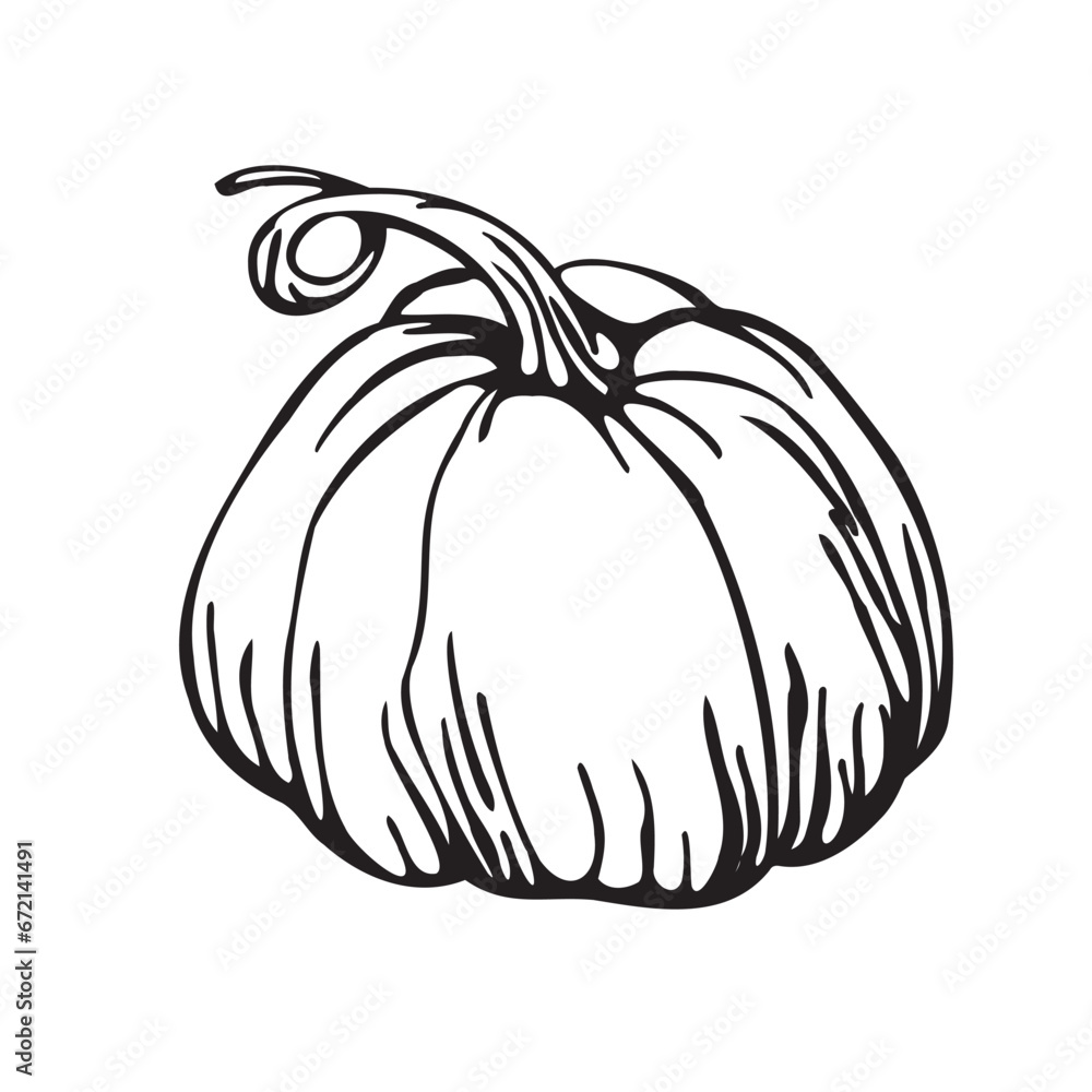 pumpkin drawn with black line by hand. Minimalistic vector illustration
pumpkin drawn with black line by hand. Minimalistic vector illustration