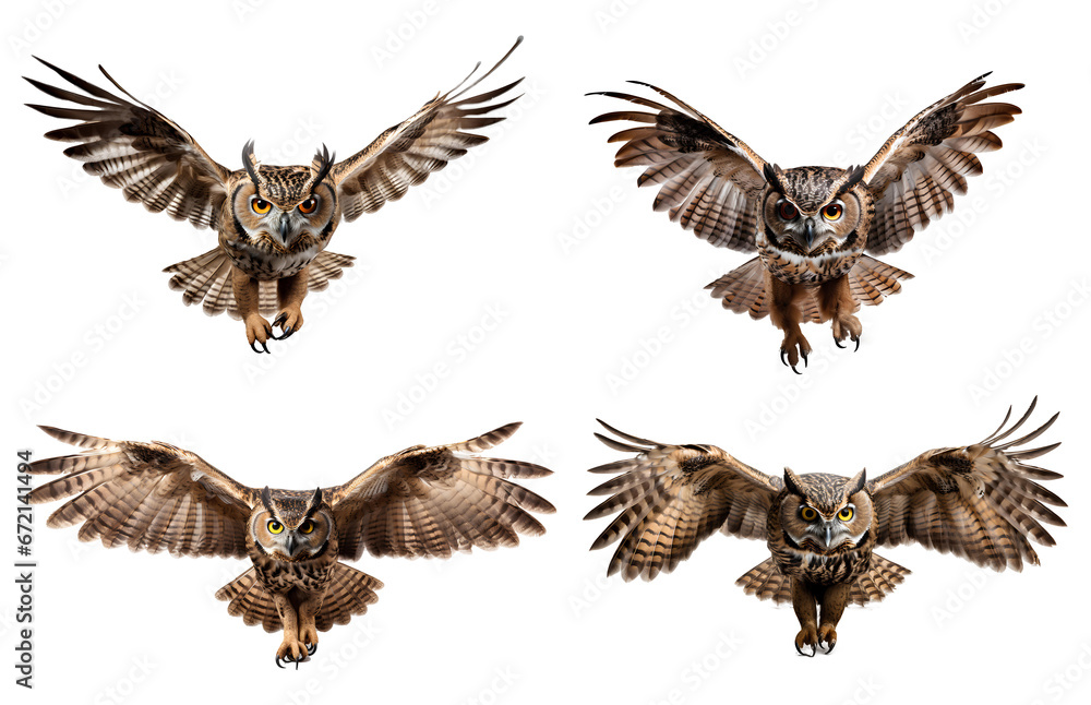 owl in flight png. owl isolated png. owl flying with wings spread png. brown owl png. owl png - obrazy, fototapety, plakaty 