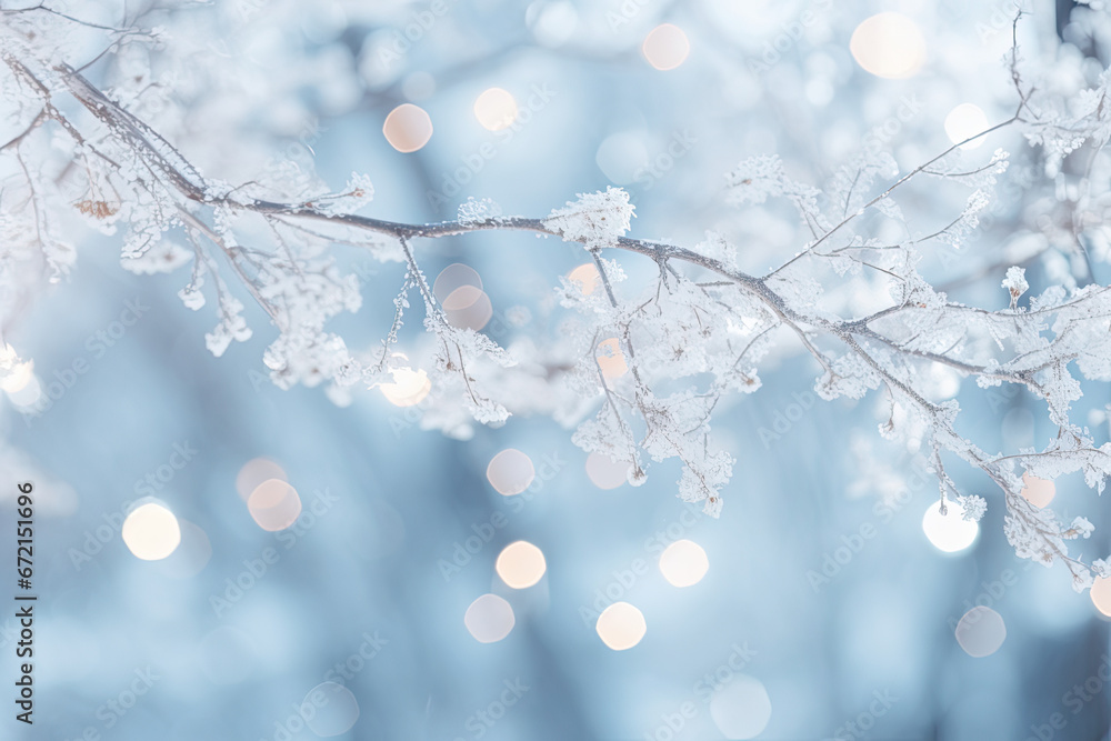 Fototapeta premium snow covered branches of a tree