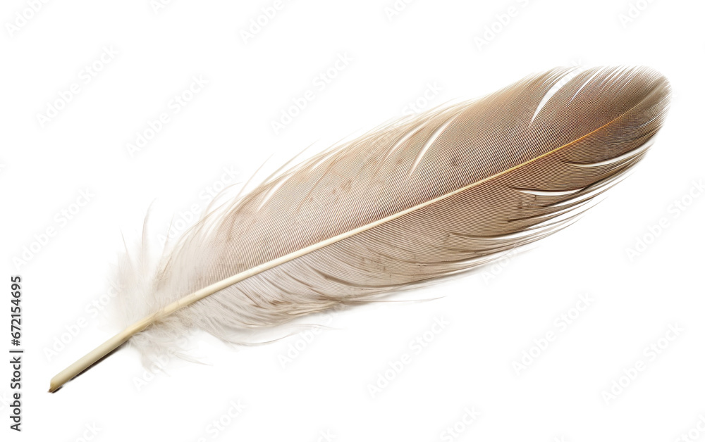 Avian Elegance Exploring the Delicate Nature of Bird Feather on White or PNG Transparent Background. Avian Elegance Exploring the Delicate Nature of Bird Feather on White or PNG Transparent Background.