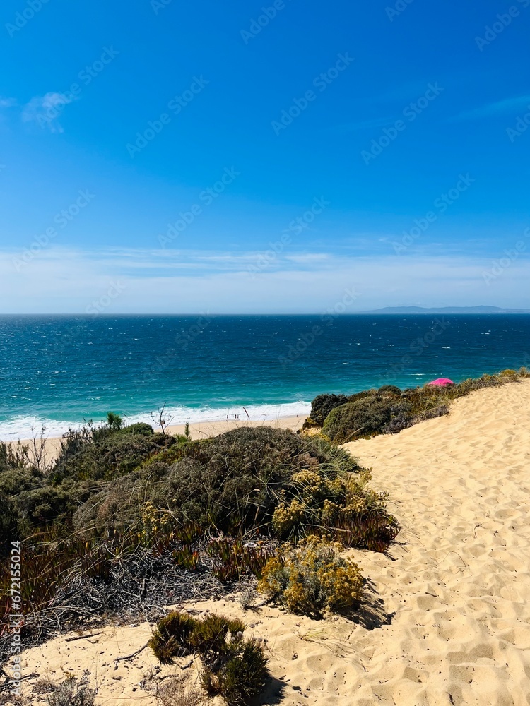 Sandy ocean bay with wild beach, blue ocean horizon Sandy ocean bay with wild beach, blue ocean horizon