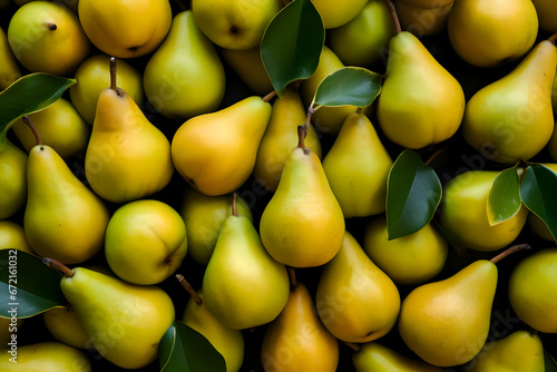Green pears with leaves background. High quality