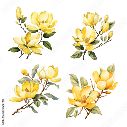 Beautiful yellow magnolia flower branch with leaves watercolor paint on white background