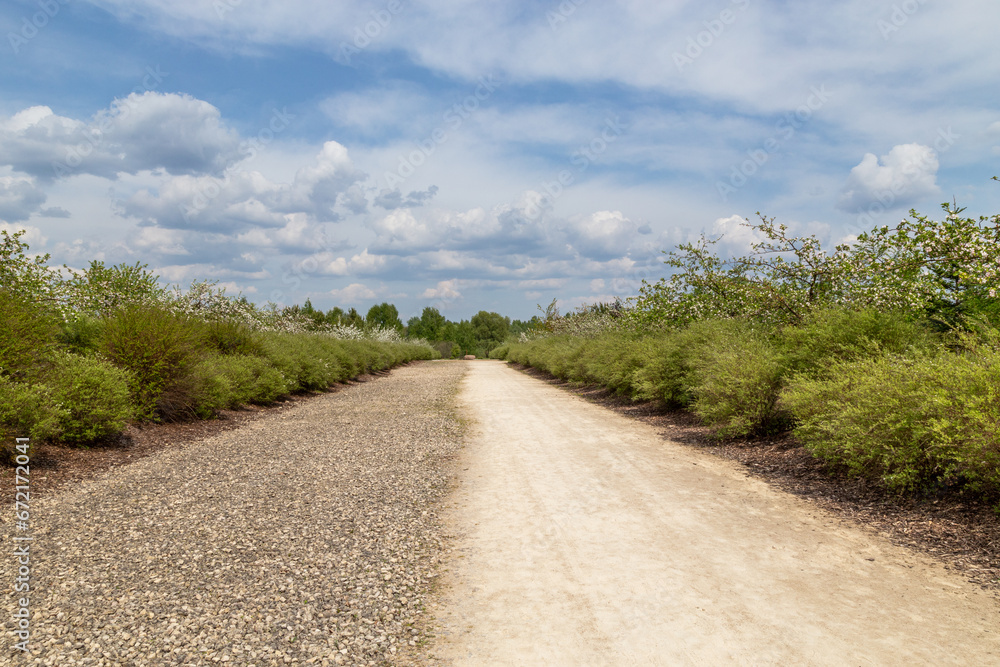 An alley in memorial park Liktendarzs in Koknese.