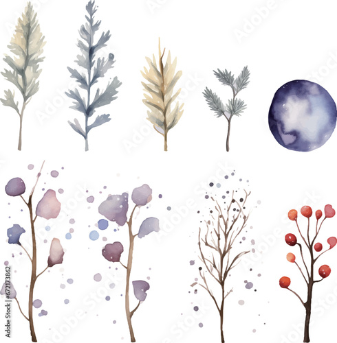 冬の植物の水彩風ベクターイラスト