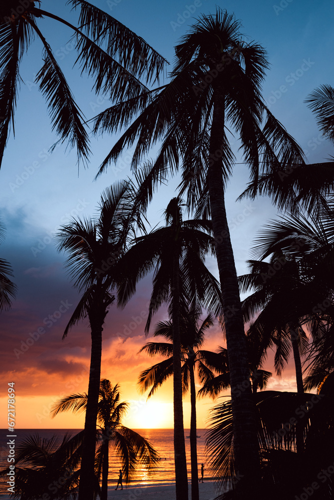 (Selective focus) Stunning view of a dramatic sunset in the background and the silhouette of coconut palm trees in the foreground. White Beach, Boracay Island, Philippines.