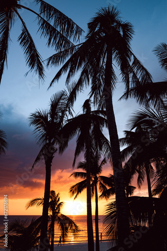 Obraz na płótnie (Selective focus) Stunning view of a dramatic sunset in the background and the silhouette of coconut palm trees in the foreground. White Beach, Boracay Island, Philippines. w salonie