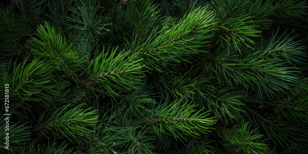 Image Of Coniferous Branches And Needles For Wallpaper And Background Created Using Artificial Intelligence Image Of Coniferous Branches And Needles For Wallpaper And Background Created Using Artificial Intelligence