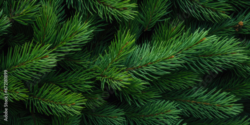 Image Of Coniferous Branches And Needles For Wallpaper And Background Created Using Artificial Intelligence