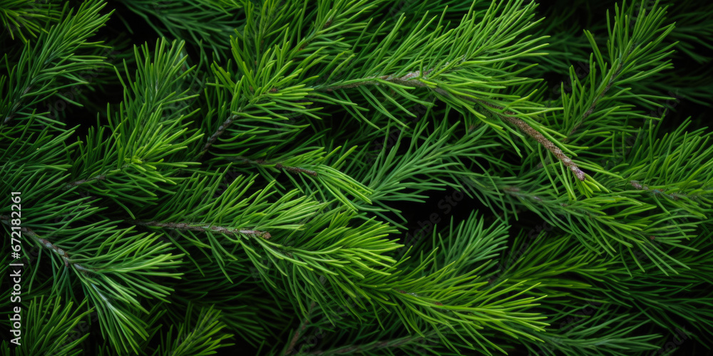 Image Of Coniferous Branches And Needles For Wallpaper And Background Created Using Artificial Intelligence