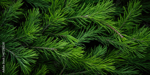 Image Of Coniferous Branches And Needles For Wallpaper And Background Created Using Artificial Intelligence © Damianius