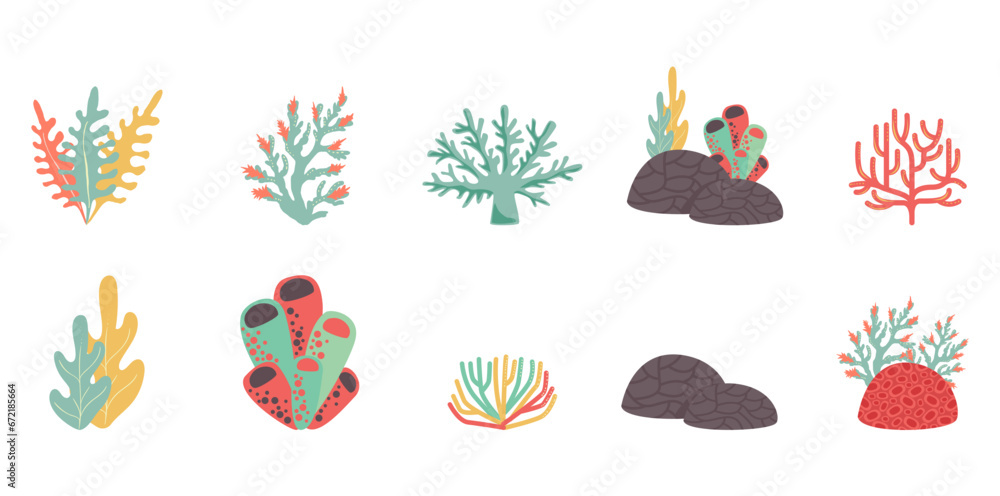 flat cute coral illustration