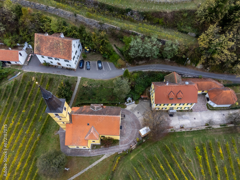 Viticulture in the Southeast of Styria, Kapfenstein Castle, Austria