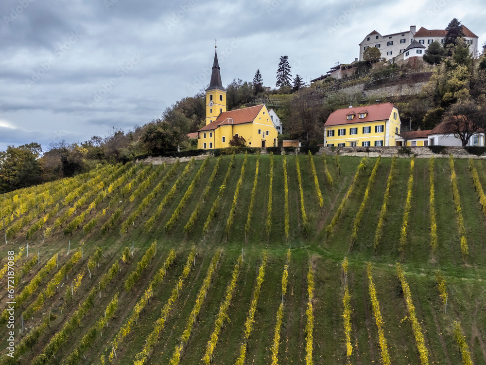 Viticulture in the Southeast of Styria, Kapfenstein Castle, Austria