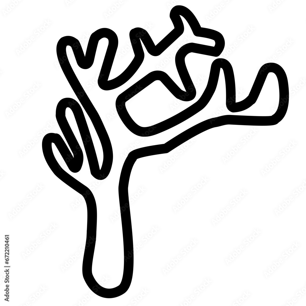 Obraz premium coral outline