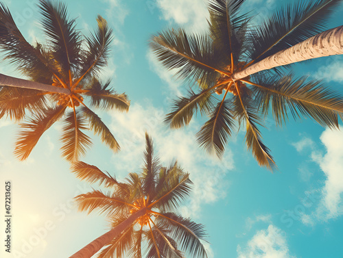 Blue sky and palm trees view from below, vintage style, tropical beach and summer background, travel concept © Poorna Himasha