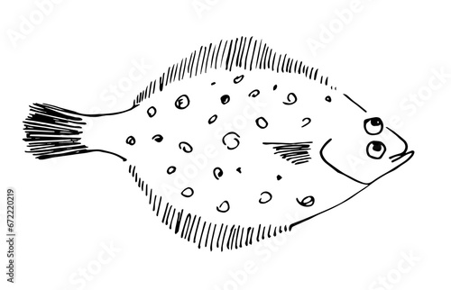 Simple vector drawing with black outline. Flatfish flounder. Seafood. Sketch in ink.