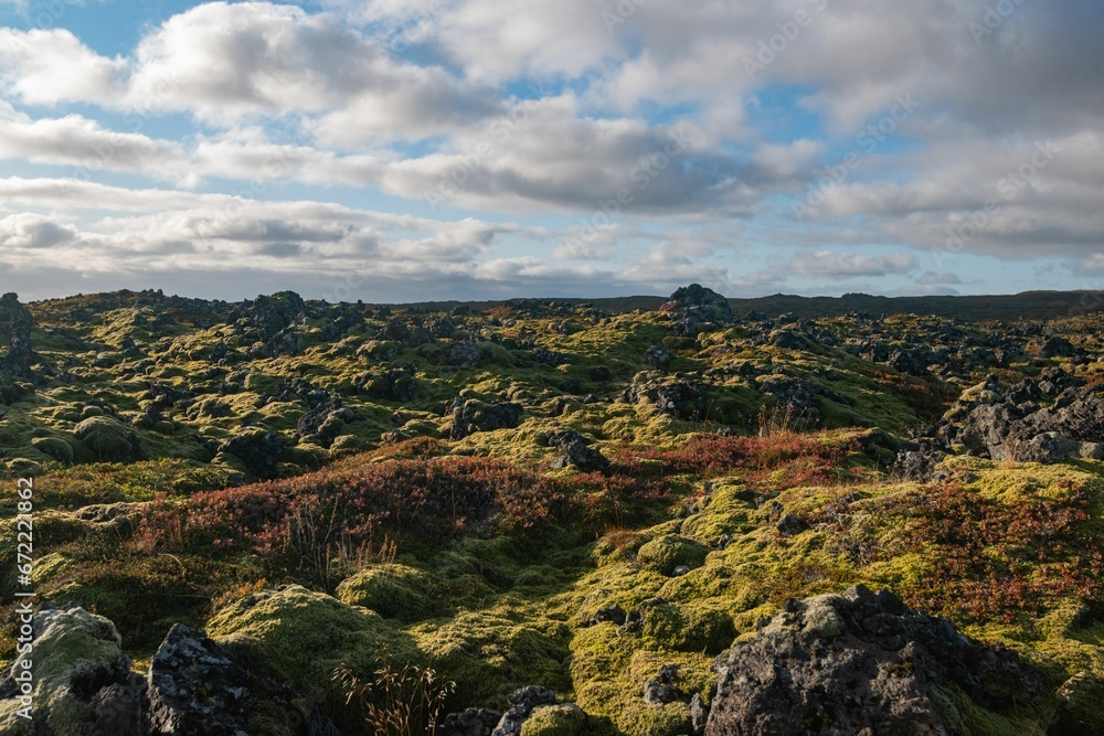 Obraz premium Grassy field with green shrubs and rocks in the background in Iceland.