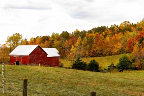 Scenic view of rural houses on green hills on a cloudy day in autumn