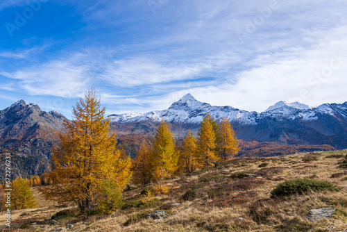 Alpe Palù in autunno, Valmalenco 