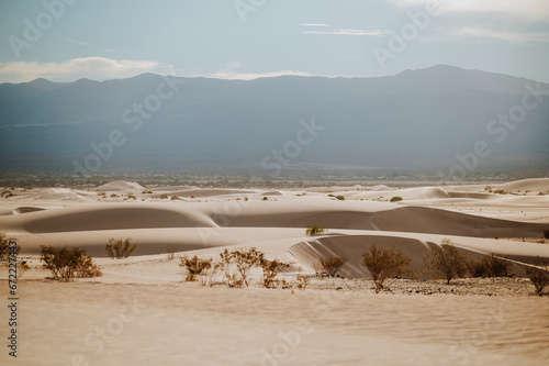 Dunes and Sun