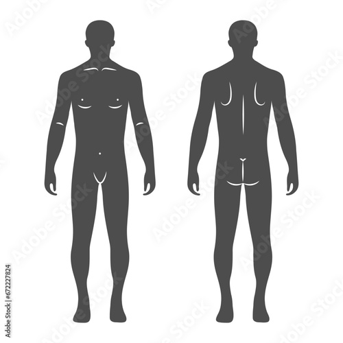 Silhouettes of a male human body, front and back views. Anatomy. Medical and concept. Illustration, vector