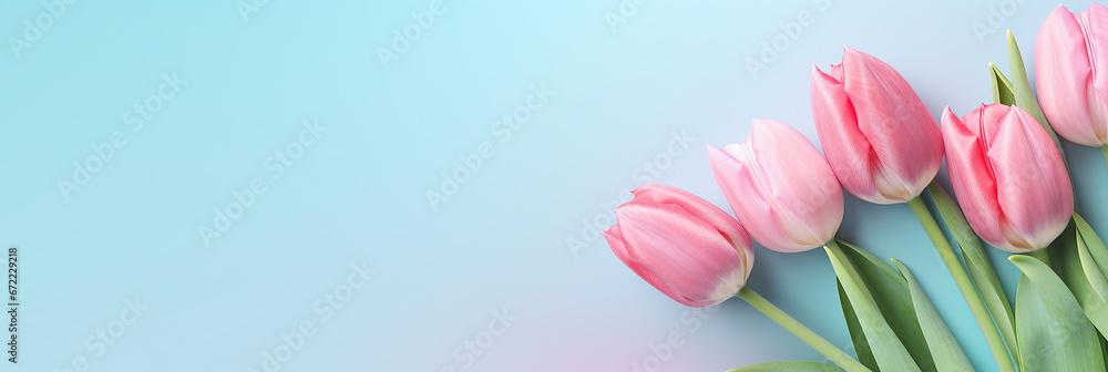 Beautiful tulips on pastel color background. Banner design with space for text. Beautiful tulips on pastel color background. Banner design with space for text.