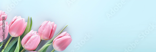 Beautiful tulips on pastel color background. Banner design with space for text.