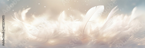Soft light fluffy a white feathers falling down in the sky. Feather abstract freedom concept. © Santy Hong
