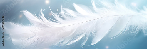 Soft light fluffy a white feathers falling down in the sky. Feather abstract freedom concept.