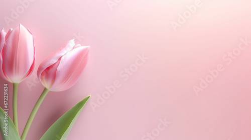  three pink tulips on a pink background with a green stem. generative ai