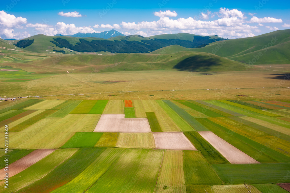 Green agricultural valley in mountain in summer
