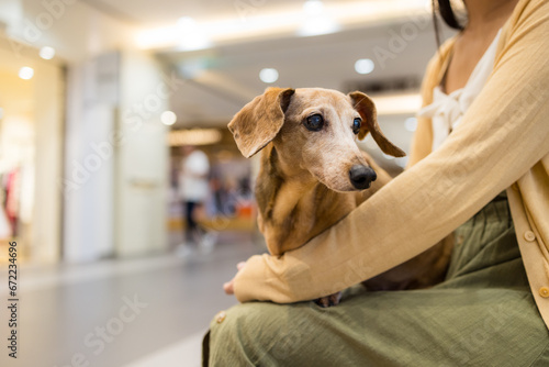 Woman go shopping mall with her dog photo