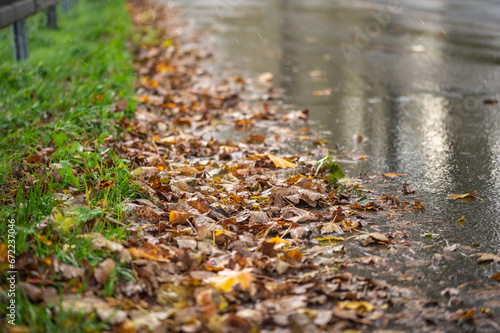A road covered with autumn leaves in the rain can become a slipping hazard for traffic  especially for motorcyclists. Raindrops and leaves on a main road in the Sauerland.